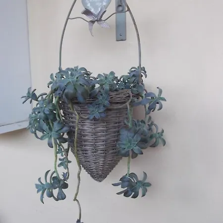 Lejlighed Luxurious Appartments Katerina Platamonas